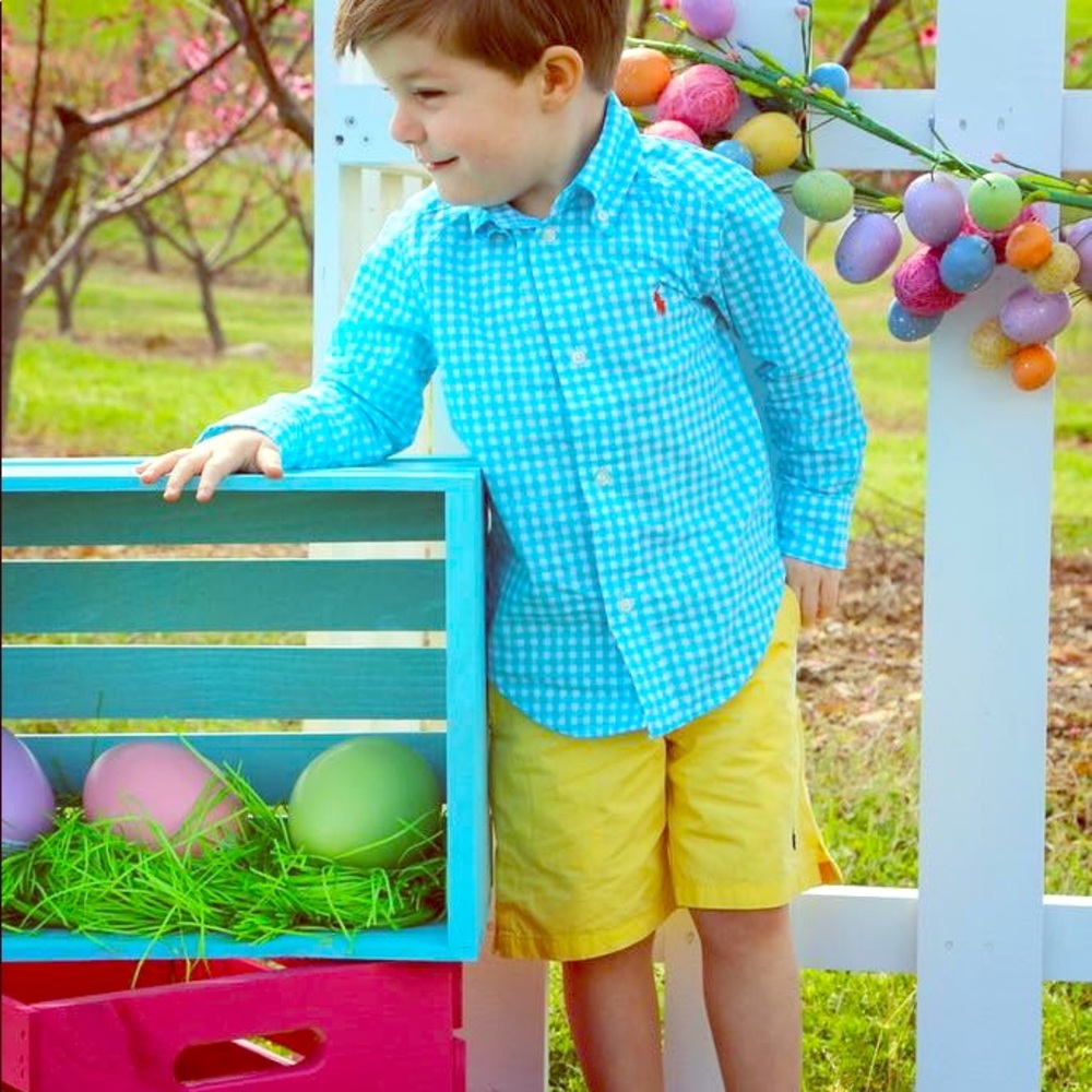 Adorable Ralph Lauren 3t Gingham Long-sleeve